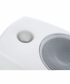 Genelec 8010 AW