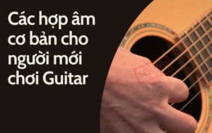 Các hợp âm cơ bản guitar