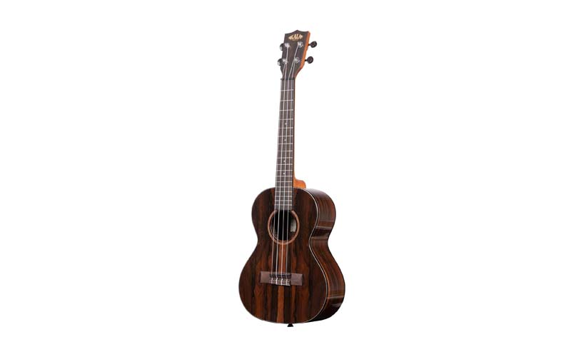 Ukulele là gì