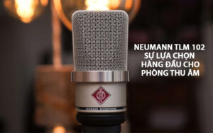 Neumann TLM 102