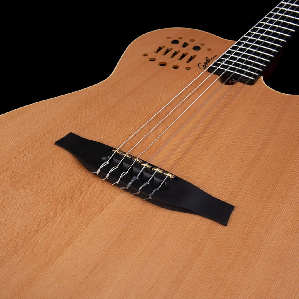 Đánh thức giai điệu - Guitar Godin ACS Nylon Natural SG