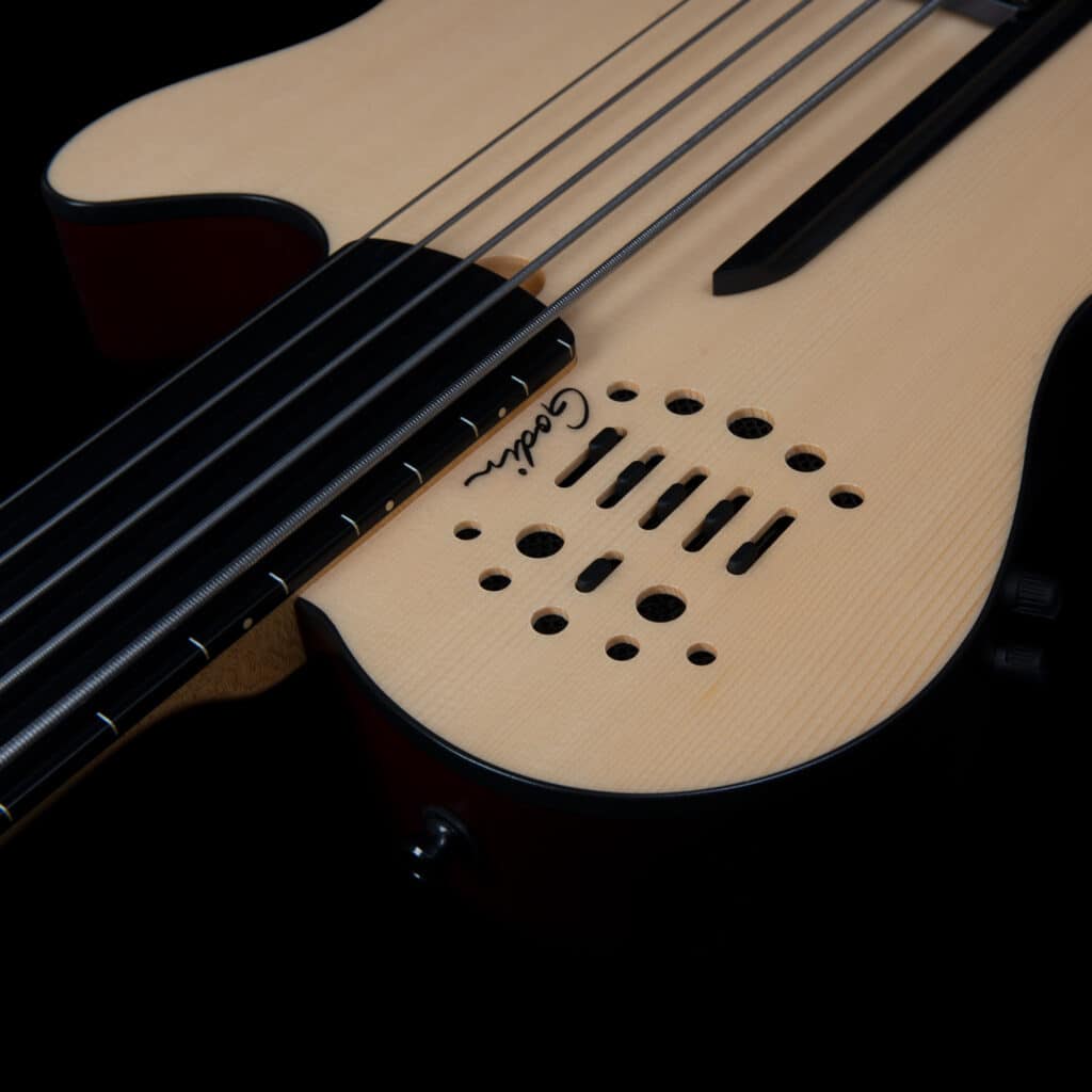 Đắm Chìm Trong Âm Nhạc Cùng Godin A5 Ultra Natural Fretless A/E