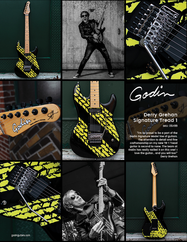 Guitar Godin Derry Grehan Signature Tread 1