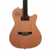 Đàn Guitar Godin A 6 Ultra [1]