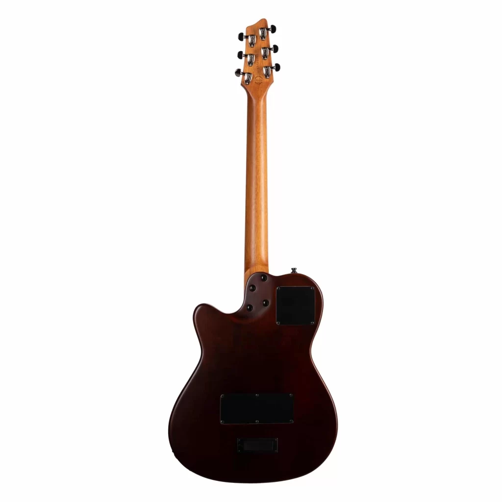 Đàn Guitar Godin A 6 Ultra [3]