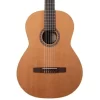 Đàn Guitar Godin Collection [2]