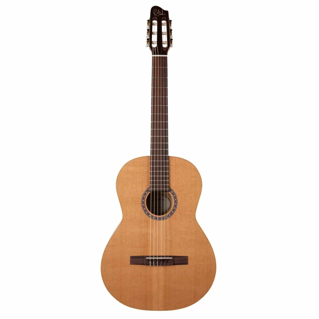 Đàn Guitar Godin Etude [1]