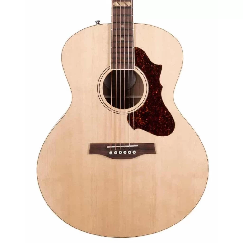 Đàn Guitar Godin Forum Natural Rn Gt Eq [2]