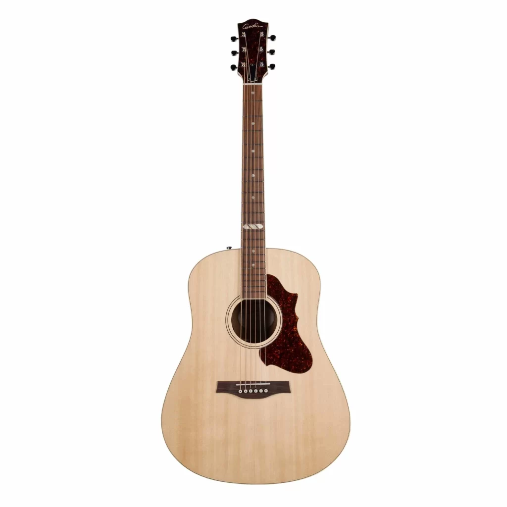 Đàn Guitar Godin Metropolis Natural Rn Gt Eq [2]