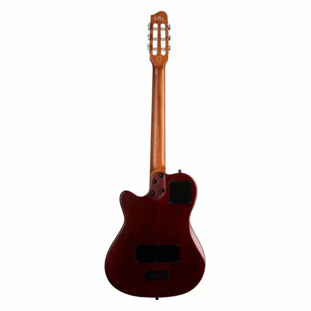 Đàn Guitar Godin Multiac Nylon Encore [4]