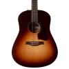 Đàn Guitar Seagull Entourage Autumn Burst [2]