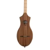 Đàn Guitar Seagull M4 Mahogany [1]