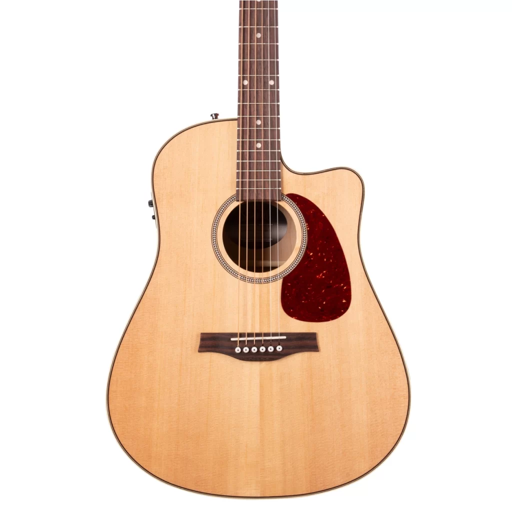 Đàn Guitar Seagull Performer Cw Hg Presys Ii [1]