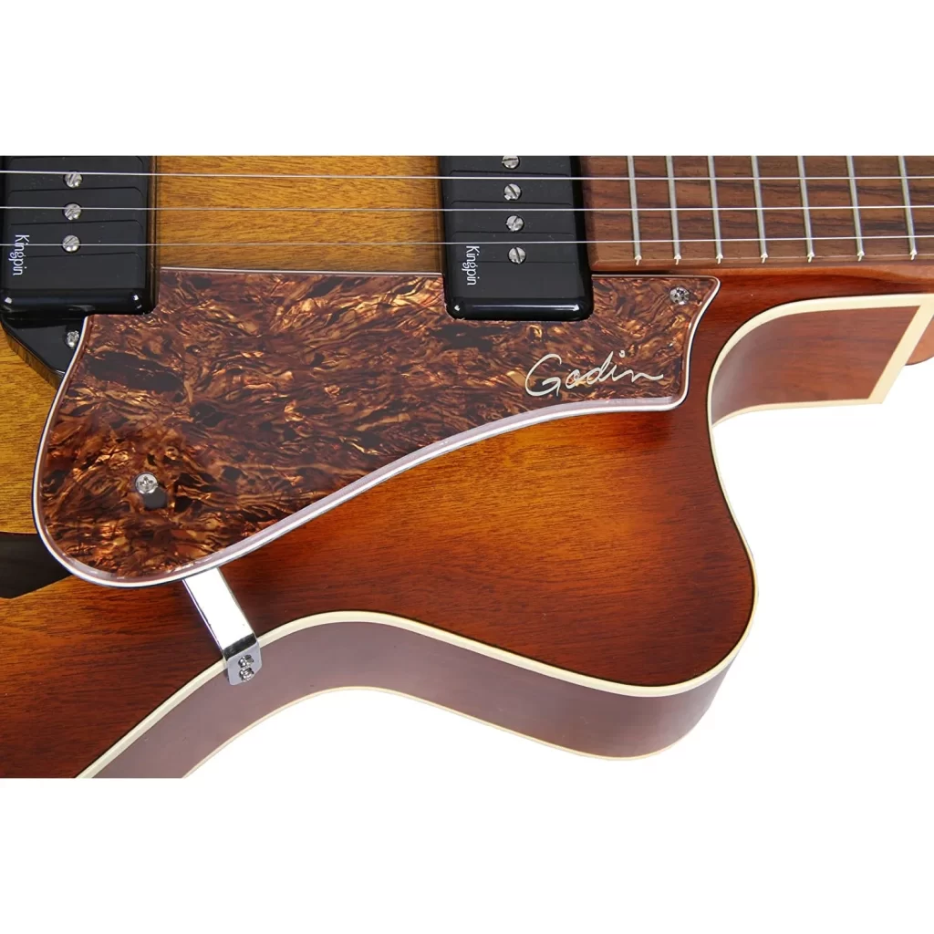 Dan-guitar-dien-godin-5th-avenue-cw-kingpin-ii-cognac-burst-viet-music-5