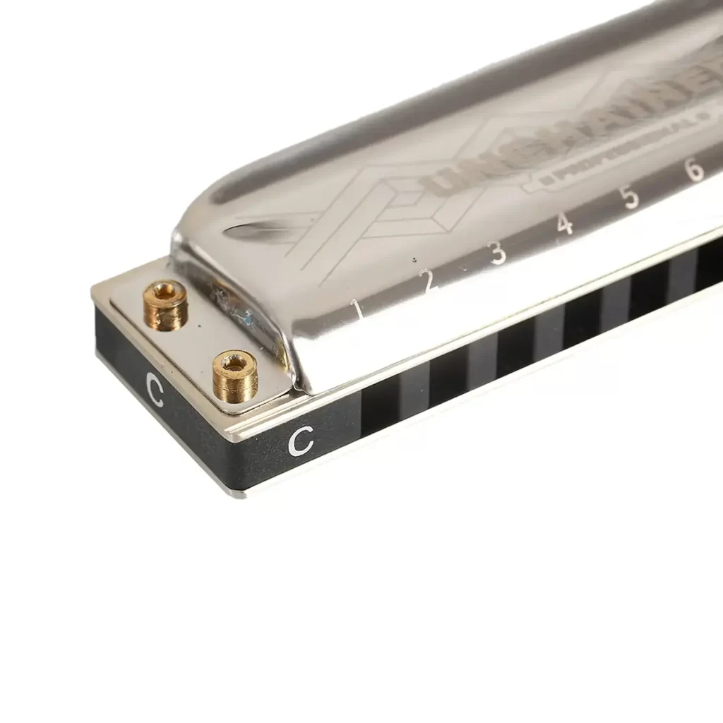 Kèn Harmonica Easttop Pro60 [3]