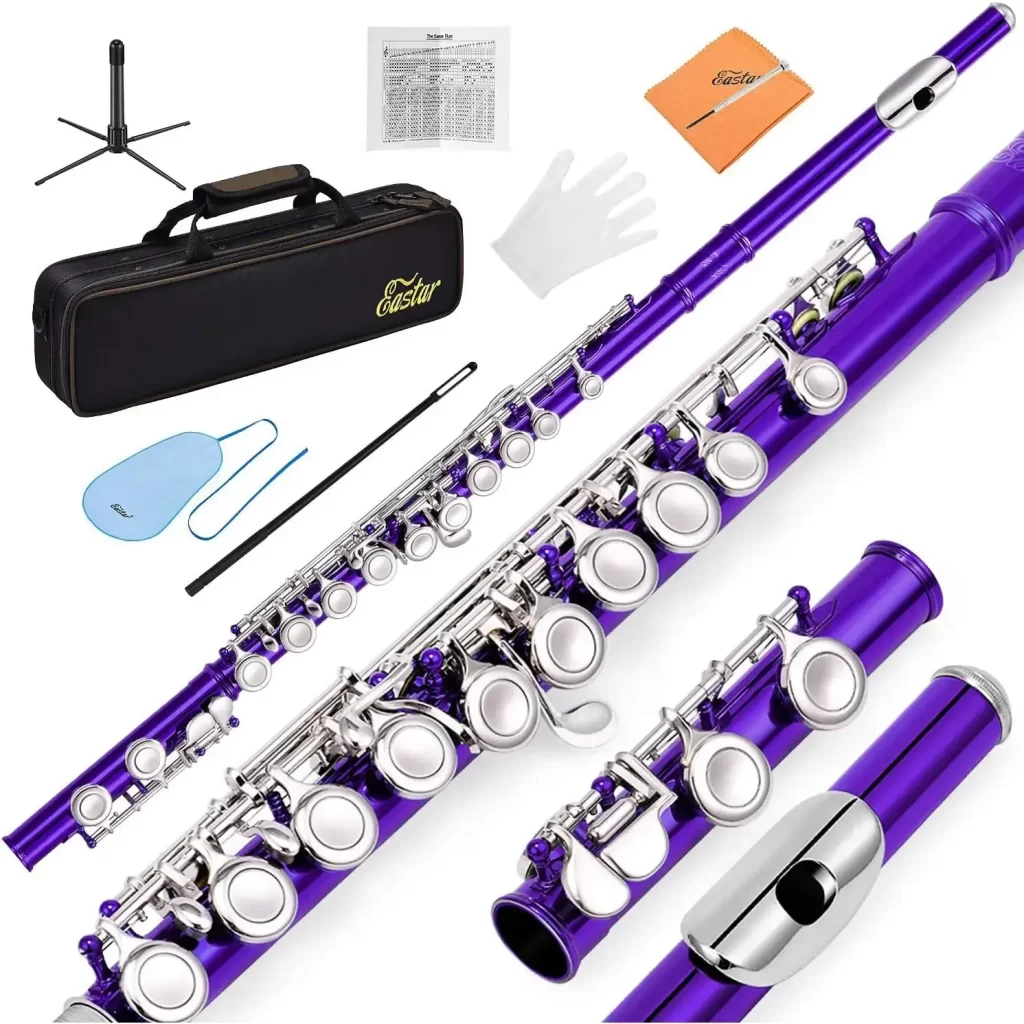 Donner Eastar Efl-1pu 16 Keys Nickel Plated Close Hole C Flute [1]