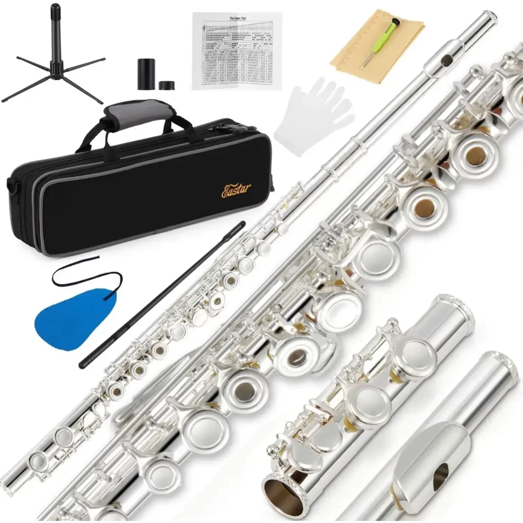 Donner Eastar Efl-2 16 Keys Silver Plated Openclose Hole C Flute [1]