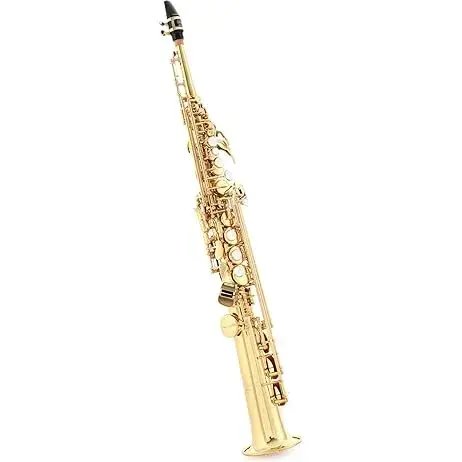 Donner Eastar Ss-Ⅱ Bb B Flat Soprano Saxophone [1]