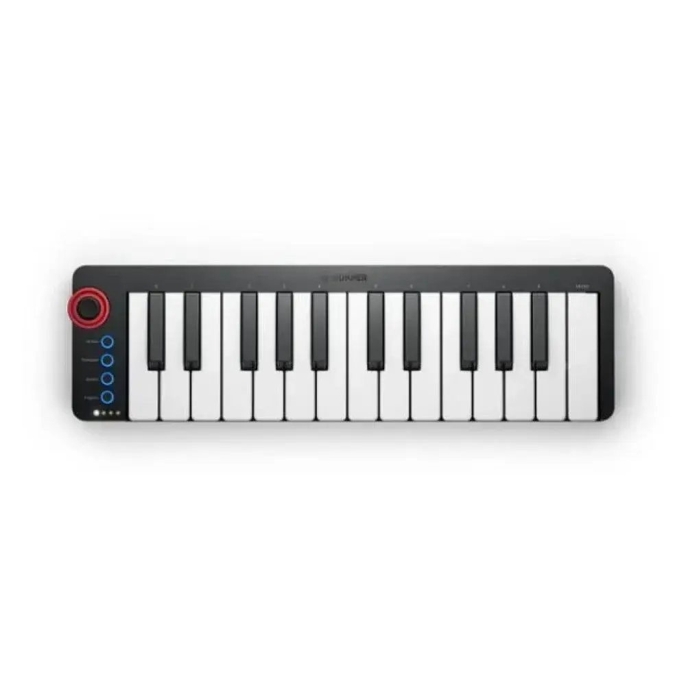 Donner N-25 Midi Keyboard [1]