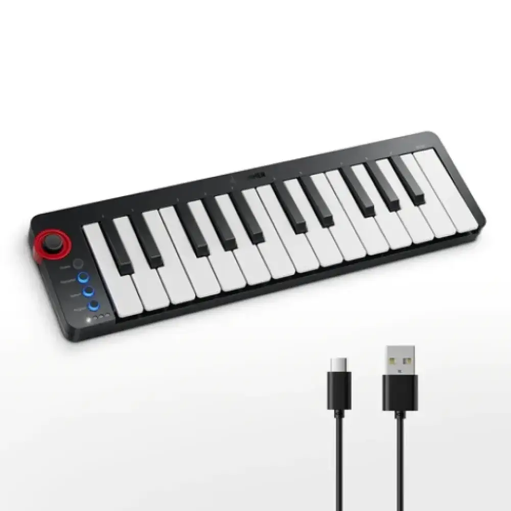 Donner N-25 Midi Keyboard [3]