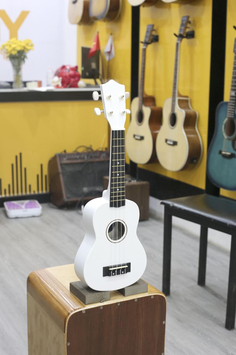 Bộ đàn Ukulele Donner Soprano cho người mới bắt đầu