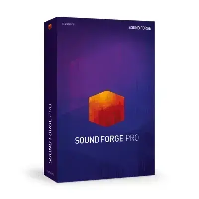 Magix Sound Forge Pro 18 [1]