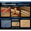 Modartt Pianoteq Bluthner Model 1 [1]