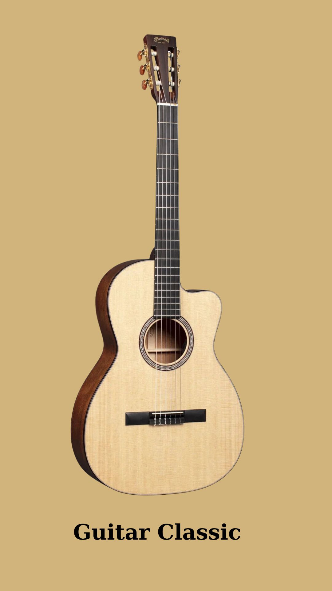 Đàn Guitar Classic