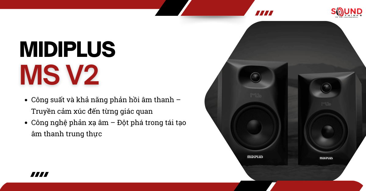 Ms V2 (2)
