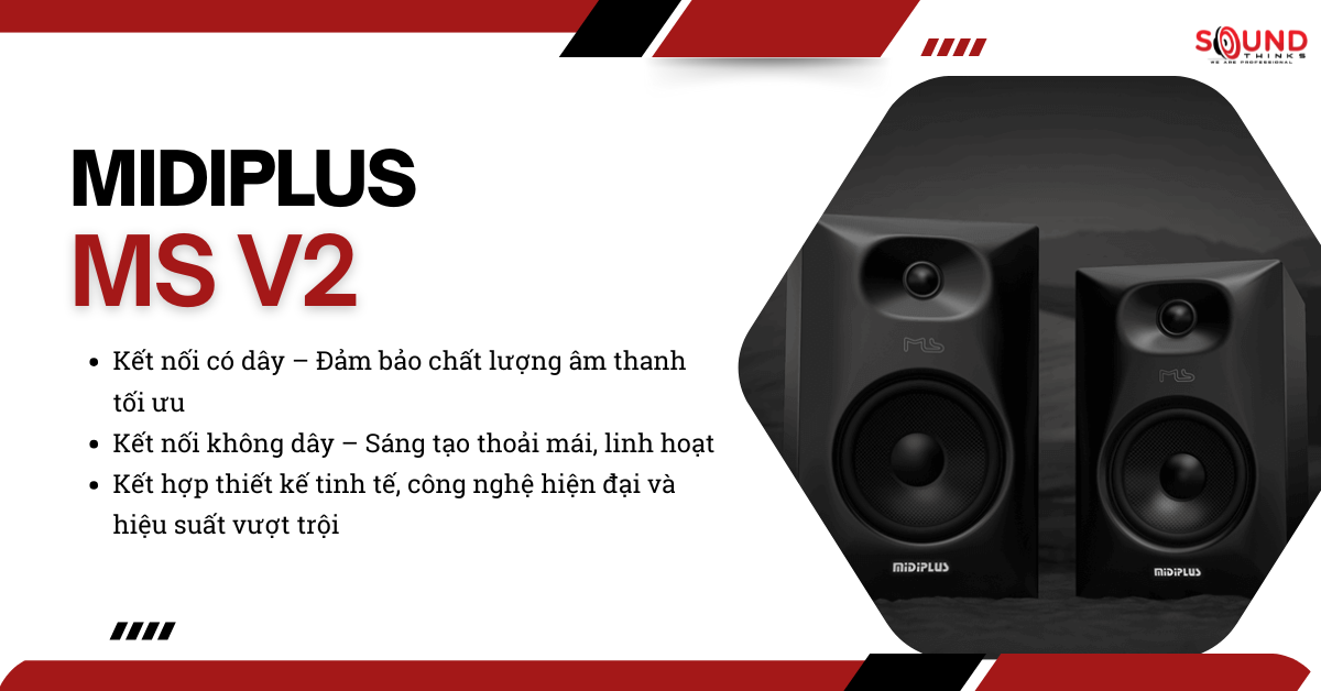 Ms V2 (3)