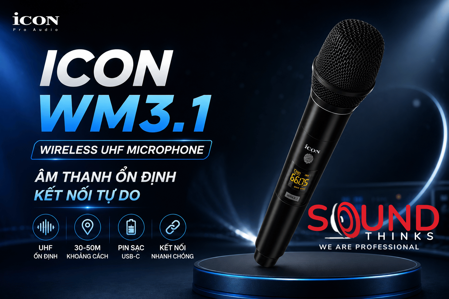 Icon Wm3.1