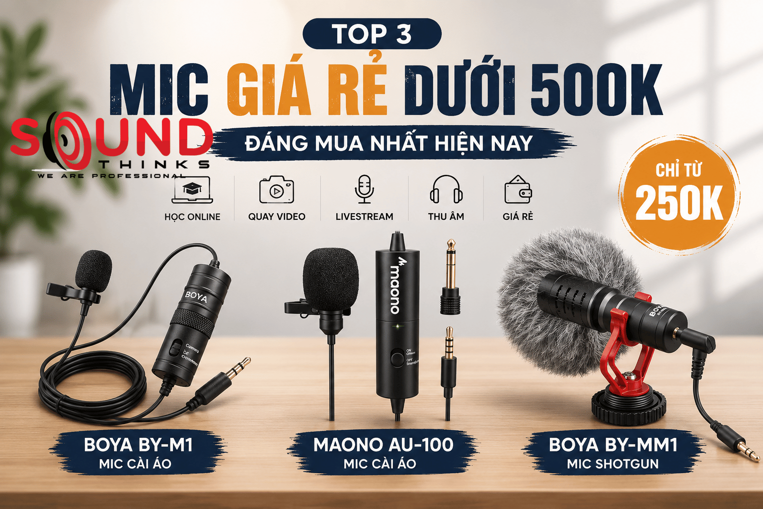 Mic Giá Rẻ Dưới 500k