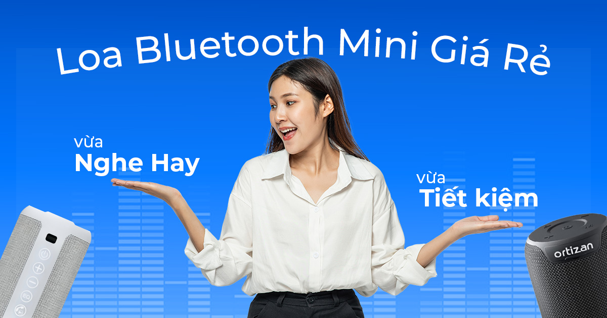 Loa Bluetooth Mini Giá Rẻ: Chọn Sao Để Vừa Nghe Hay Vừa Tiết Kiệm?