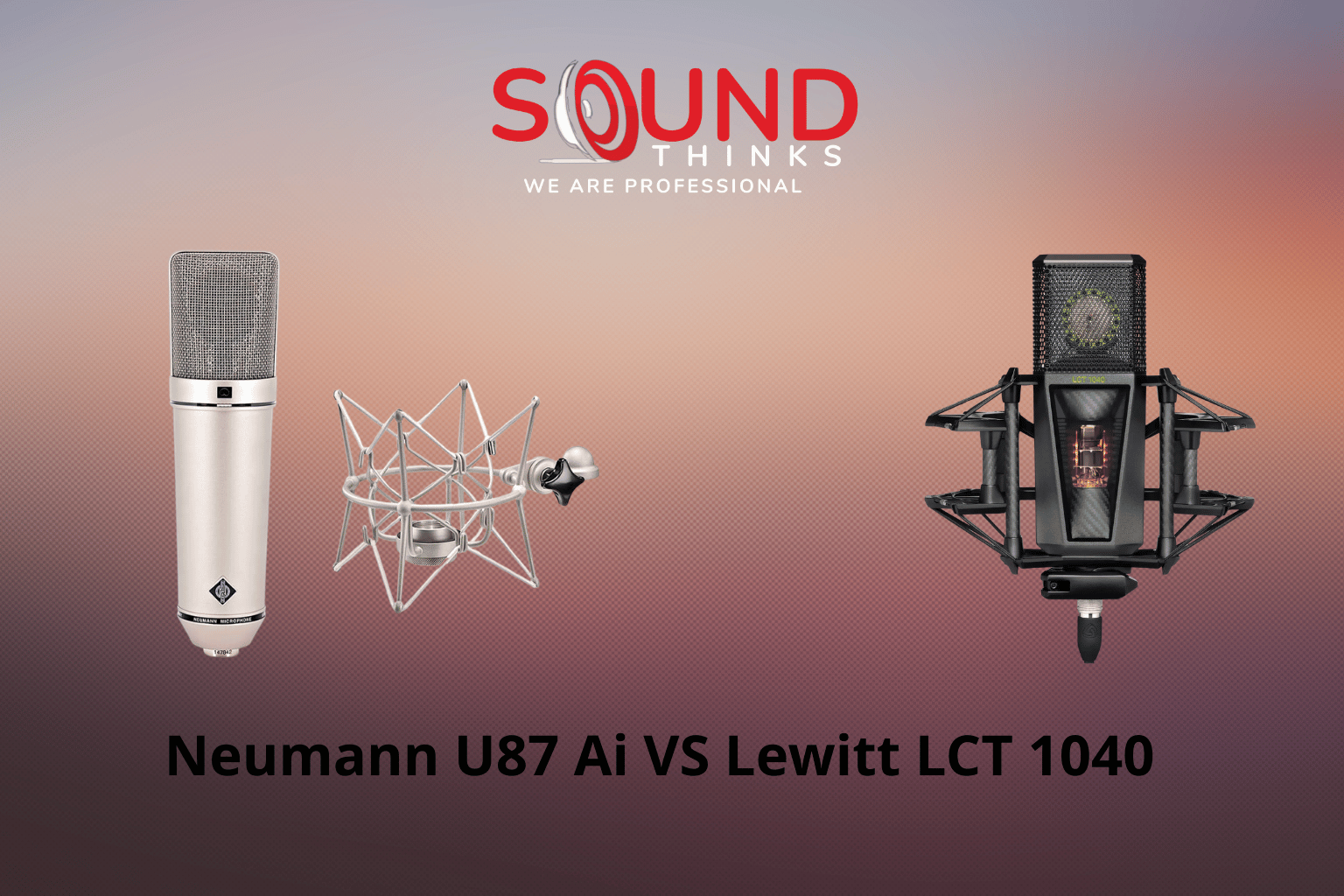 Mic Thu âm Chuyên Nghiệp Neumann Và Lewitt