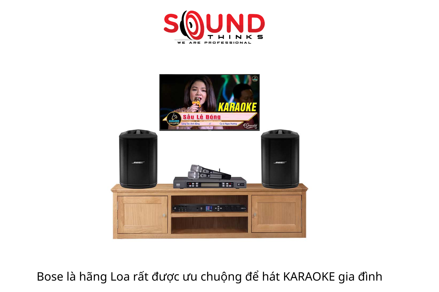 Bose Là Hãng Loa Rất được ưu Chuộng để Hát Karaoke Gia đình