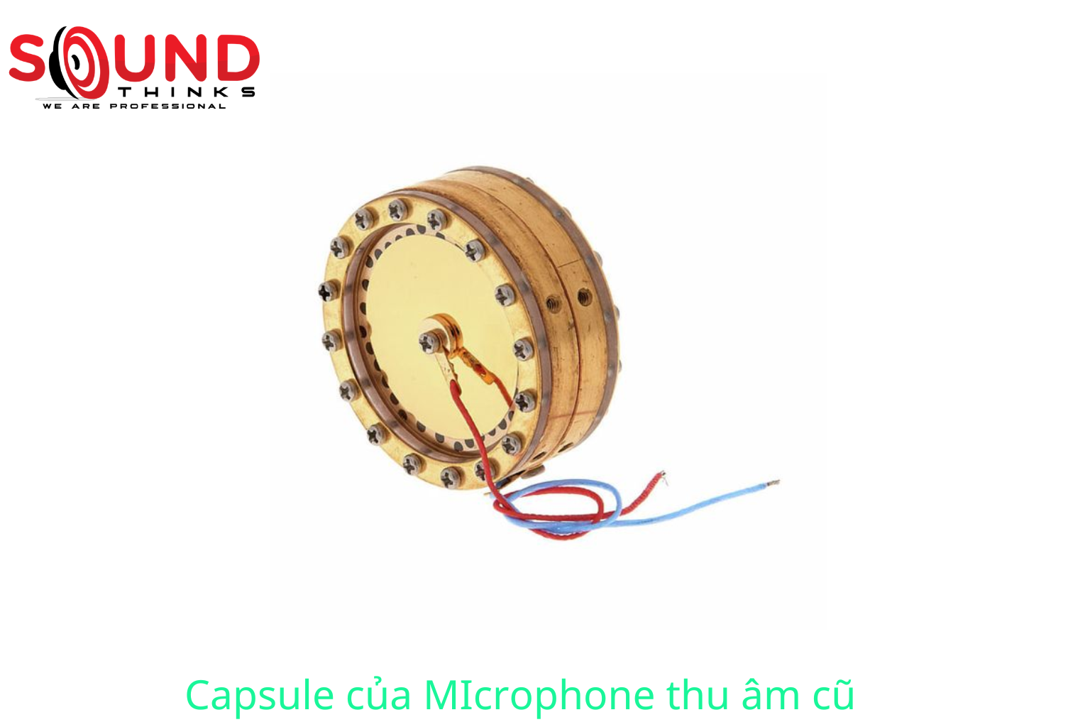 Capsule Của Micro Thu Âm Cũ Rất Dễ Hư Hỏng