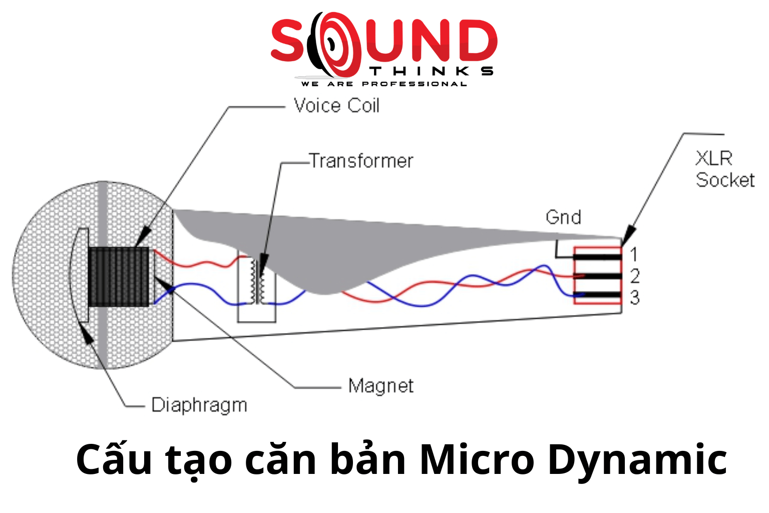 Cấu Tạo Căn Bản Của Micro Dynamic (1)