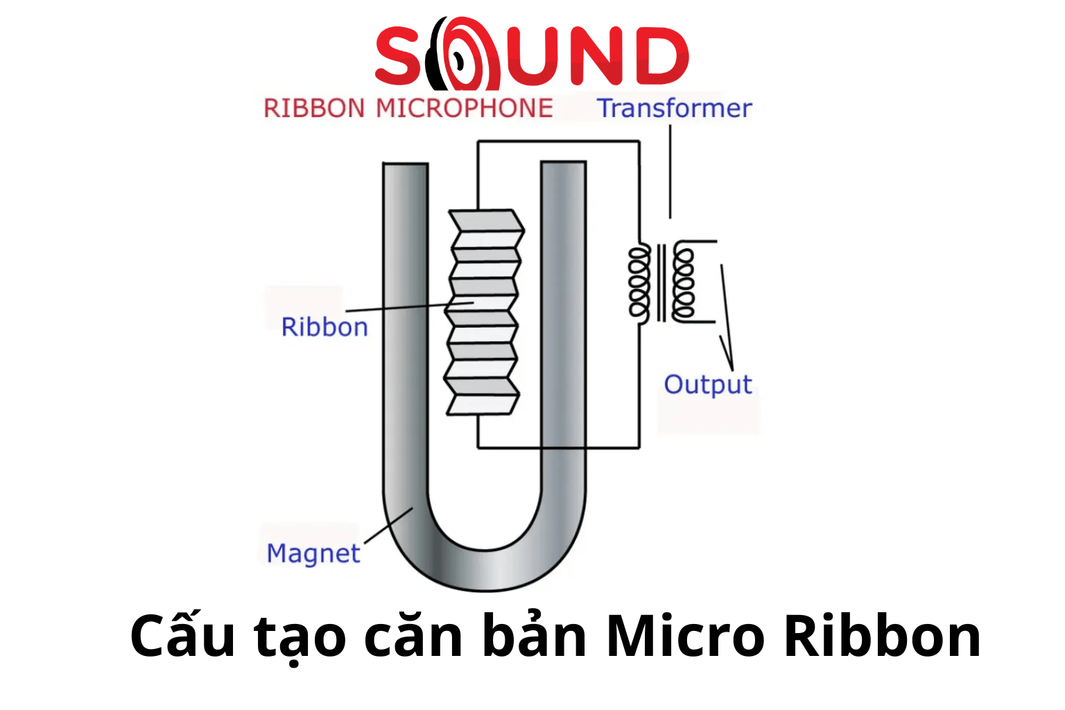 Cấu Tạo Căn Bản Của Micro Ribbon