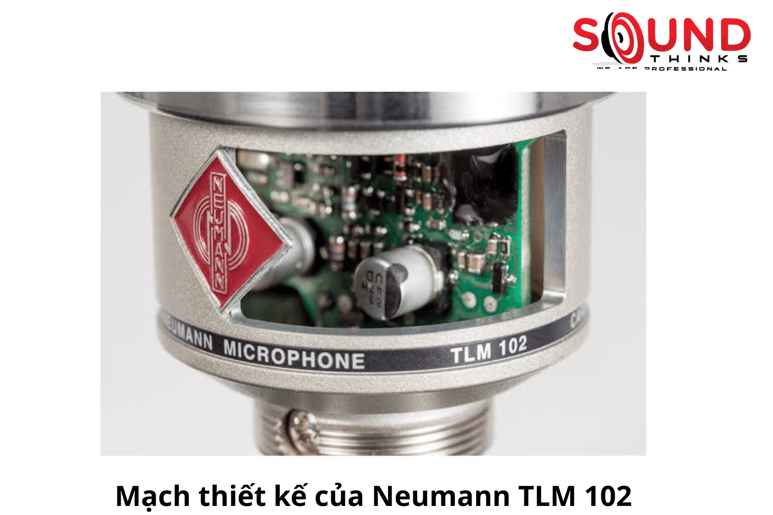 Mạch Thiết Kế Của Neumann Tlm 102