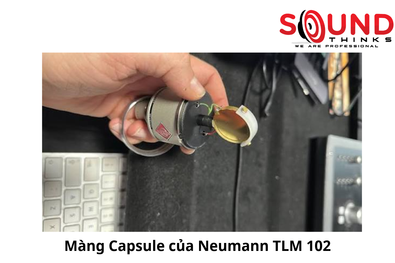Màng Capsule Của Neumann Tlm 102
