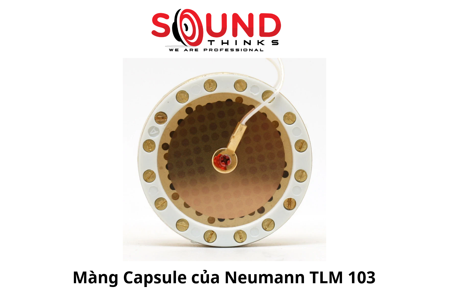 Màng Capsule Của Neumann Tlm 103