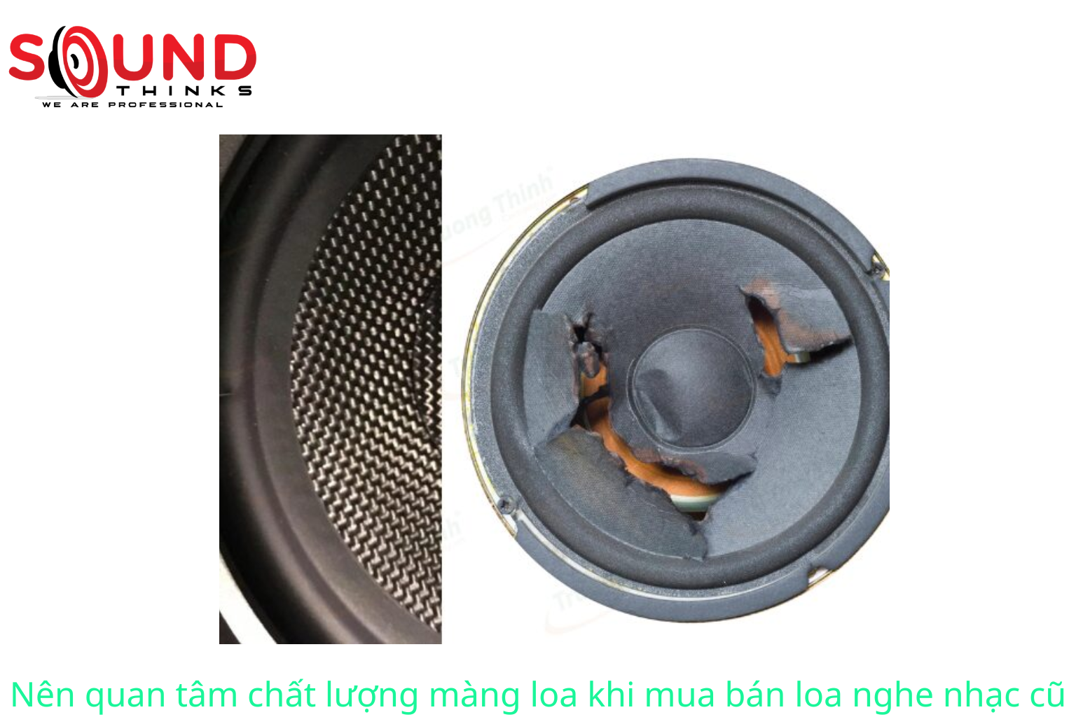 Nên Quan Tâm Chất Lượng Màng Loa Khi Mua Bán Loa Nghe Nhạc Cũ