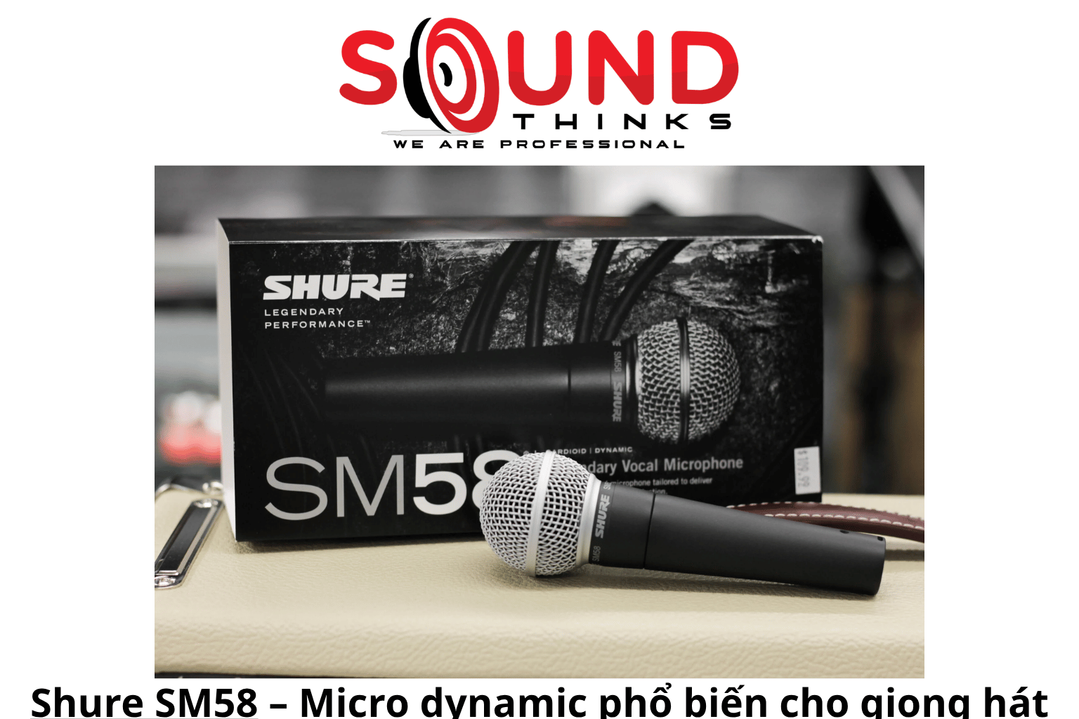 Shure Sm58 (1)