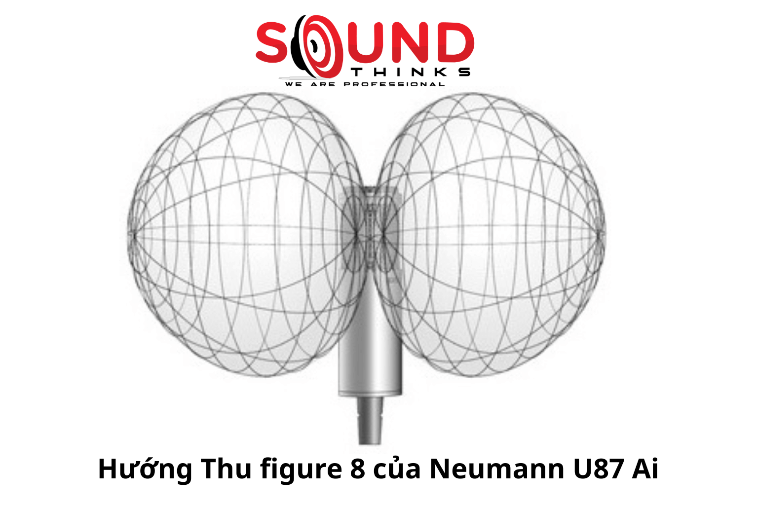 Hướng Thu Figure 8 Của Micro Neumann U87 Ai