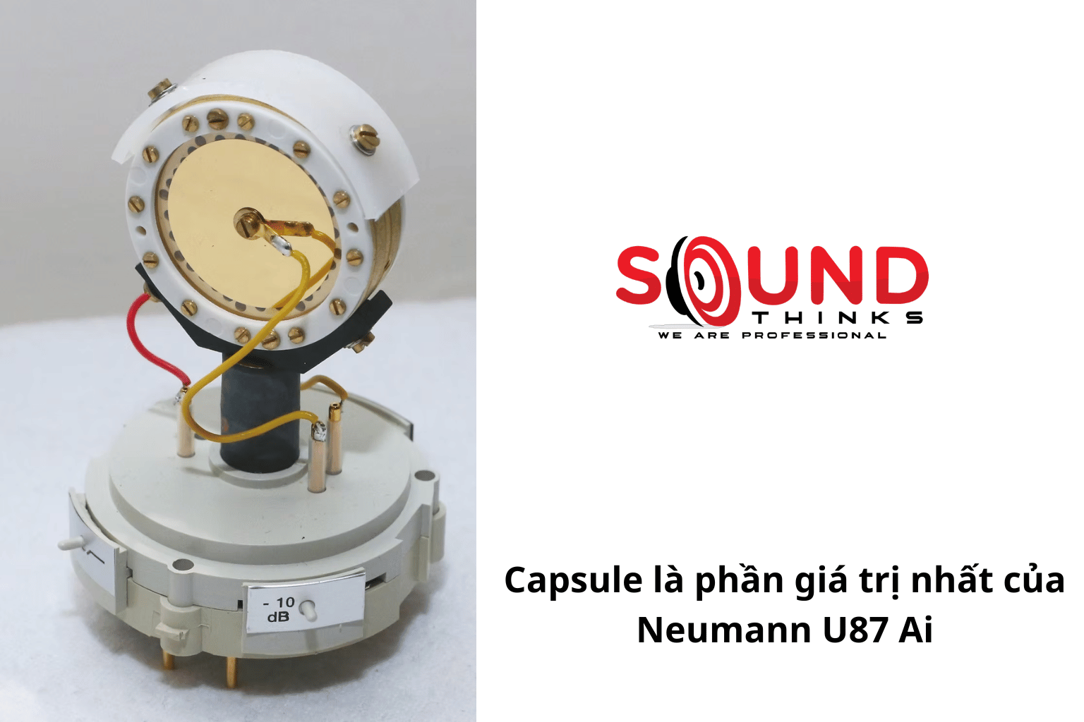 Màng Capsule Của Micro Neumann U87 Ai