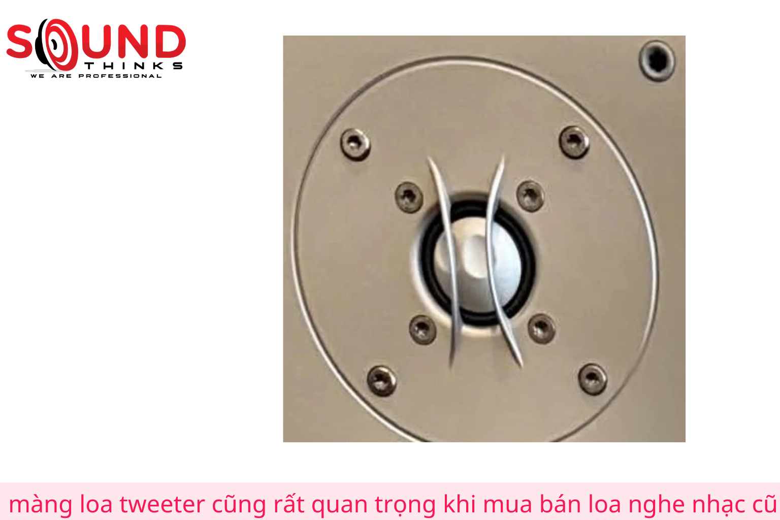 _màng Loa Tweeter Cũng Rất Quan Trọng Khi Mua Bán Loa Nghe Nhạc Cũ