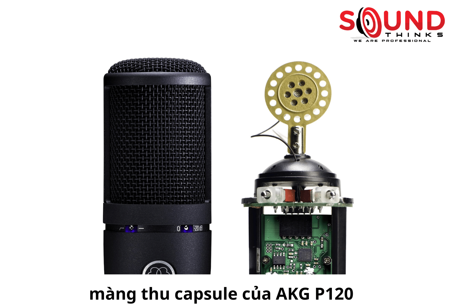 Màng Thu Capsule Của Akg P120