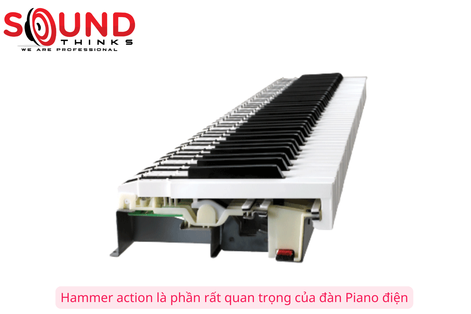 Hammer Action Là Phần Rất Quan Trọng Của đàn Piano điện