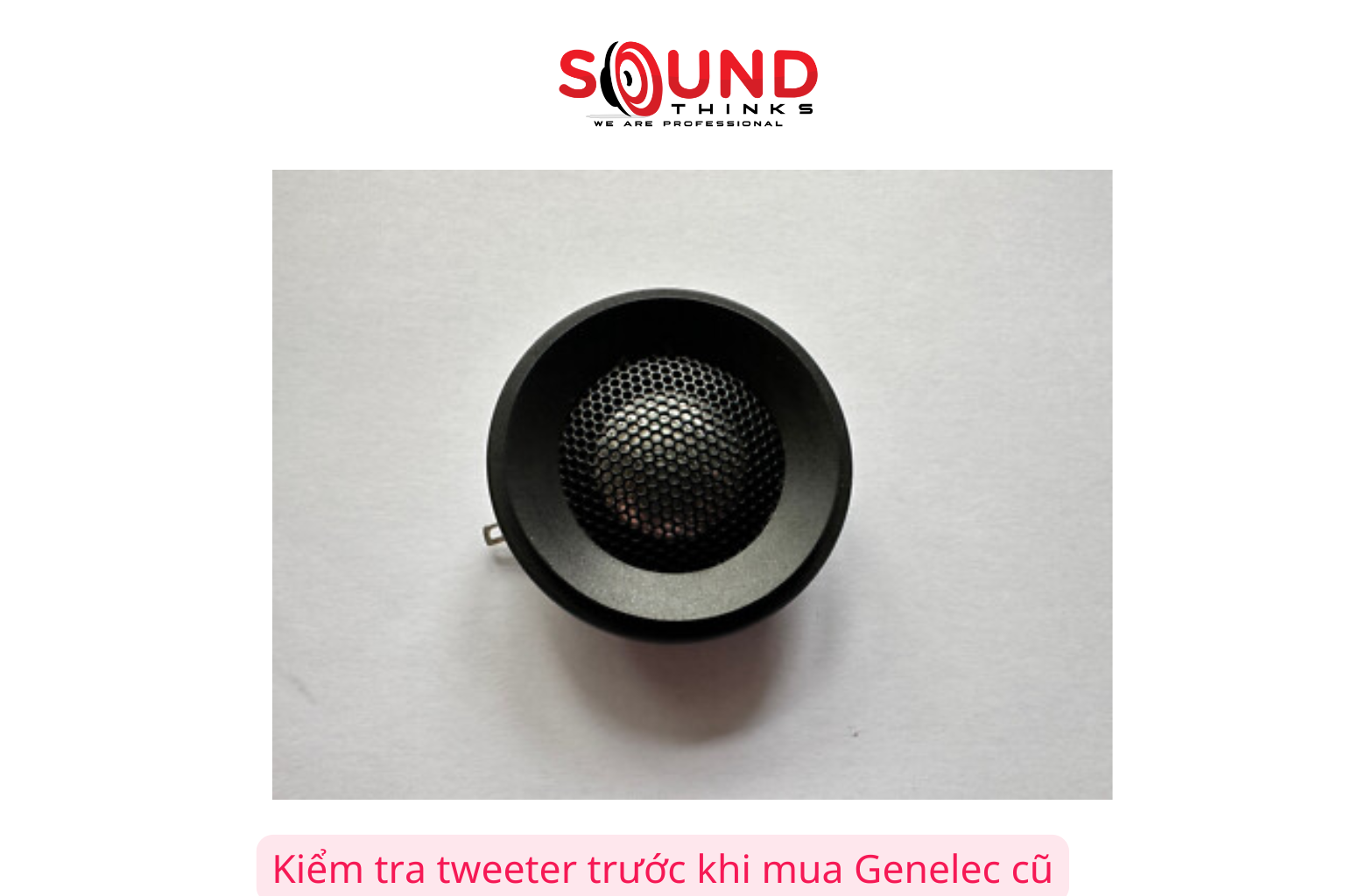Kiểm Tra Tweeter Trước Khi Mua Genelec Cũ