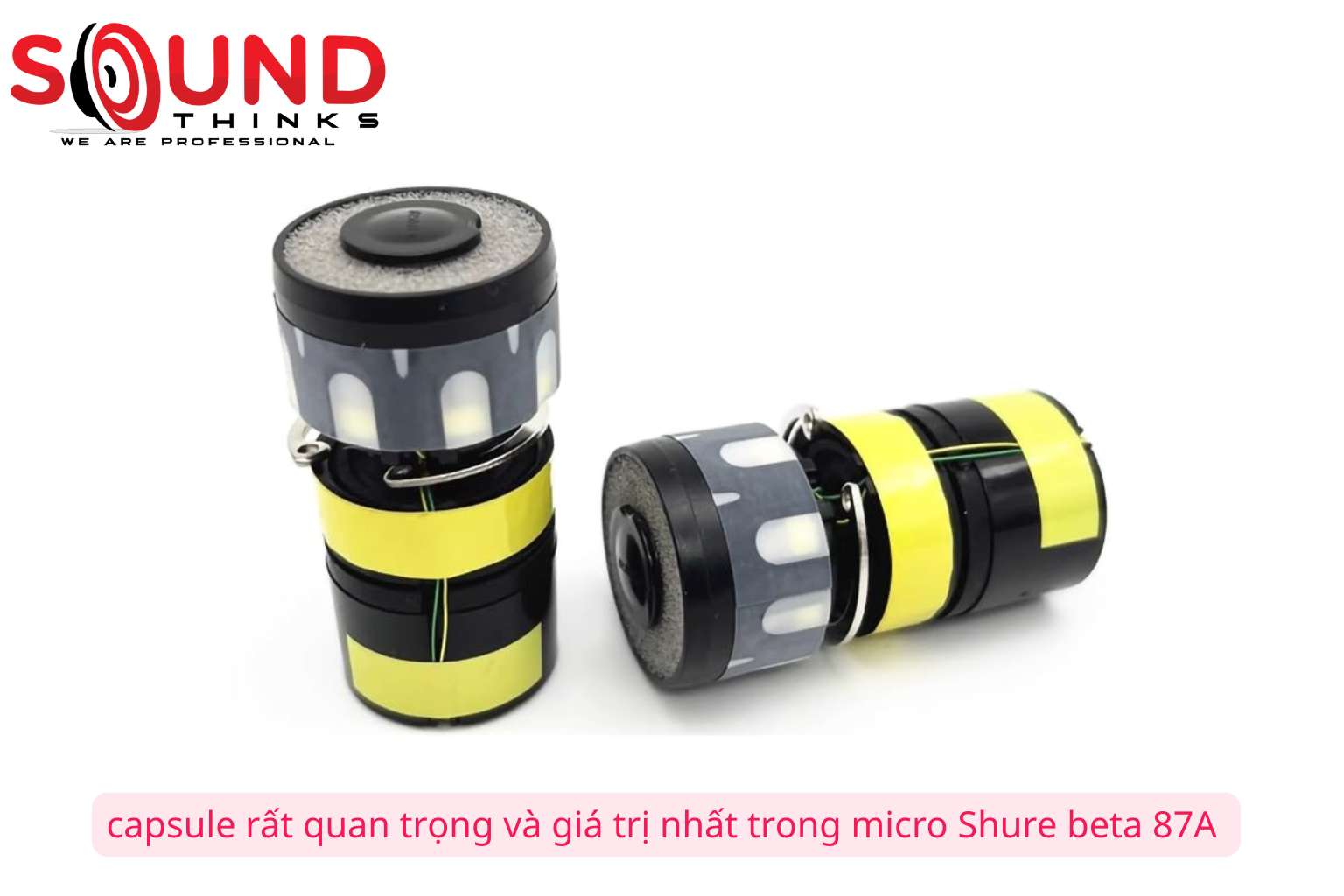 Capsule Rất Quan Trọng Và Giá Trị Nhất Trong Micro Shure Beta 87a